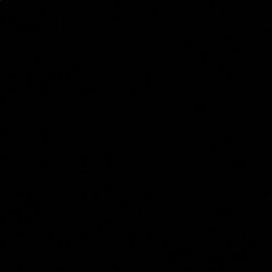 Meet your Posher, Javjavon